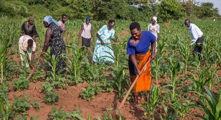 Poverty Alleviation